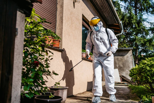 Best Pest Control for Homes  in Moorhead, MS