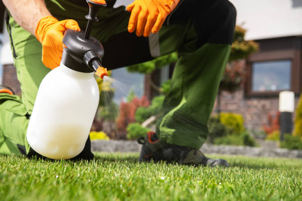 Best Affordable Pest Control Services  in Moorhead, MS