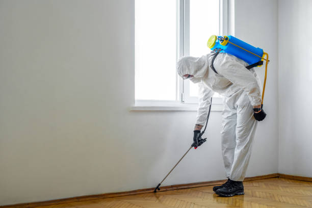 Best Best Pest Control Companies  in Moorhead, MS