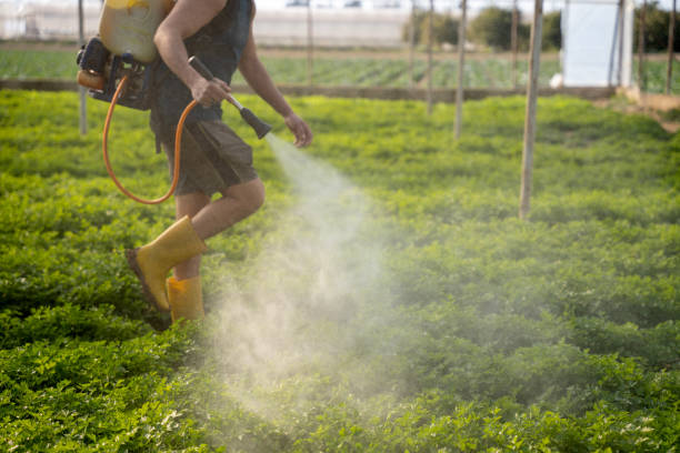 Best Pest Prevention Services  in Moorhead, MS